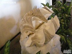 -亚龙湾中心广场·贝壳馆