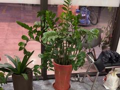 -张钰强中医正骨推拿连锁(唐家人才公寓店)