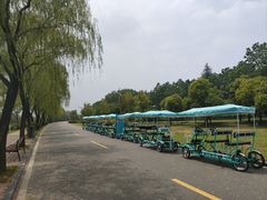 -洨河生态公园