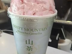 -雾与山茶(大禹城店)