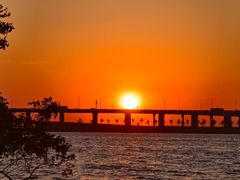 -宝安西湾红树林湿地公园