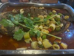 -沈胖子音乐烤吧·炒菜·龙虾(环城东路店)