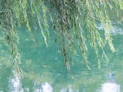 -贵阳市花溪国家城市湿地公园