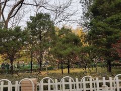 -双榆树公园