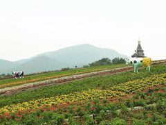 -东部华侨城