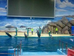 -福州罗源湾海洋世界旅游区