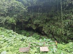 -海口火山口国家地质公园