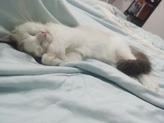 -KKV(深圳宏发大仟里店)