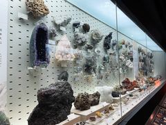 -浙江自然博物院(杭州馆)