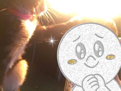 -疆Jiang·新疆秘制料理