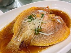 清蒸红星斑-华盛丰温州大排档(东三环南路店)