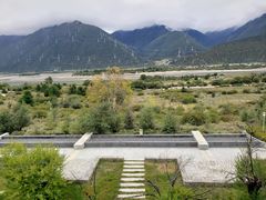 -林芝工布庄园希尔顿酒店-猎味中餐厅