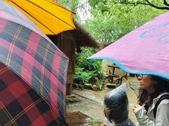 -天目湖山水园