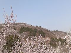 -北京西山国家森林公园