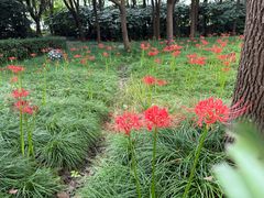-嘉北郊野公园