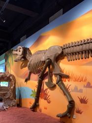 -北京科学中心儿童乐园