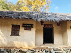 -千年银杏谷文化旅游区