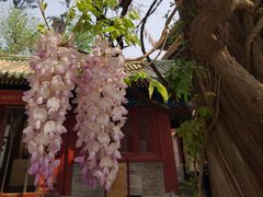 -北京国子监胡同
