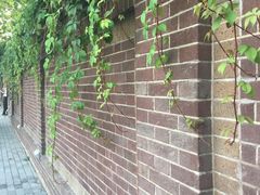 -成桂西餐厅·42年的味道(五大道疙瘩楼店)