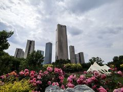 -大望京公园