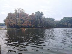 -荔湾湖公园