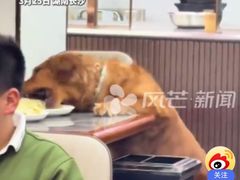 -奉天蚨祥饺子馆