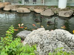 -罗红摄影艺术馆