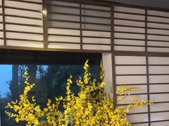 -上足·影院足道·SPA(红岭店)