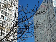 -猫头鹰照相馆(国贸店)