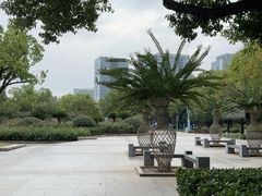 -杭州城北体育公园