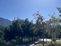 -马峦山郊野公园