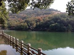 -白马涧龙池景区