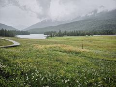-喀纳斯禾木山庄