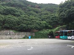 -大澳