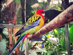 -大连森林动物园