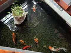 -尺山寸水日料(马桥满天星店)