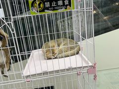 -酷迪(巴沟华联店)