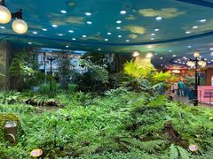 -凯德广场(学府店)