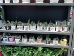 -家乐福(古北店)