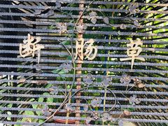 -广州神农草堂中医药博物馆