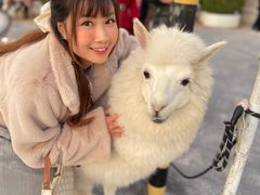 -Blue Concept Cafe&Farm·關於藍