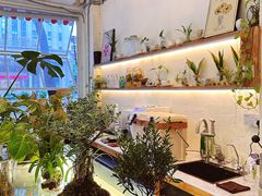 -绿小院(荔湾店)