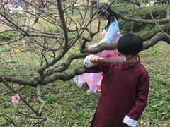 -秀丽东方