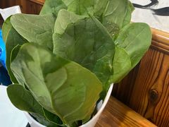 菠菜-三里屯土灶炖公鸡地锅鸡(江东店)