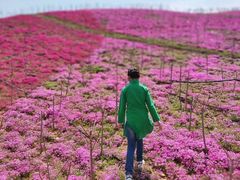-威海华夏城景区