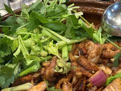 -凤兴鸡煲(宝安海雅店)