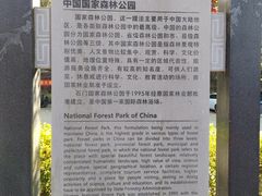-广州市石门国家森林公园