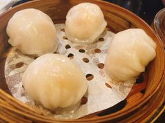 添运来虾饺皇-添运来(茶园奥园广场店)