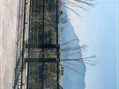 -杭州桐庐康莱德酒店西餐厅-舍