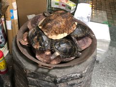 -海天堂(玉带濠店)